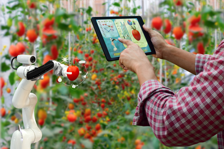 Farmer holding a tablet smart arm robot harvest work agricultural machinery technology